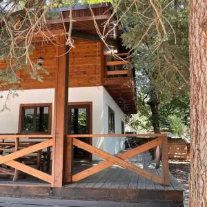 Dreamland VILLAS - 228