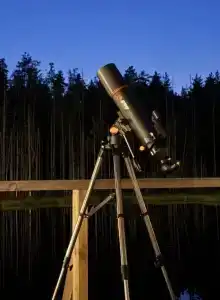 Мистик Хилс - 138