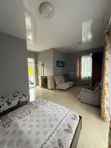 Алешкина мечта - 45