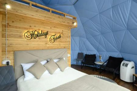 Holidays Forest - 57