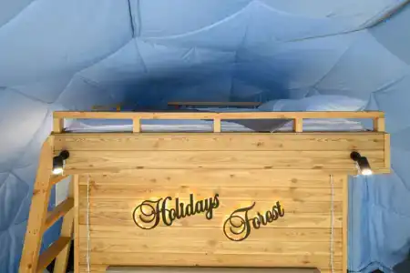 Holidays Forest - 66