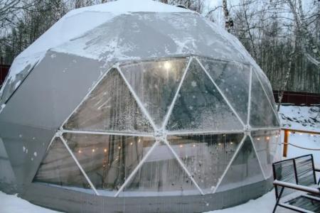 Holidays Forest - 56
