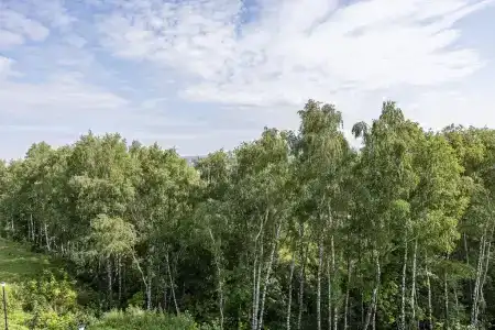 Любимый Город-НН - 86