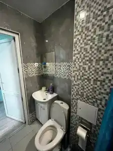 Алешкина мечта - 47