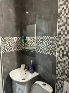 Алешкина мечта - 48