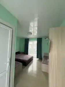 Алешкина мечта - 49