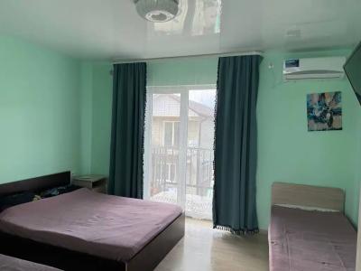 Алешкина мечта - 46