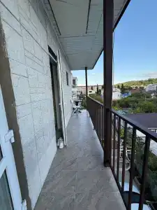 Алешкина мечта - 53