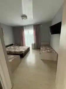 Алешкина мечта - 58