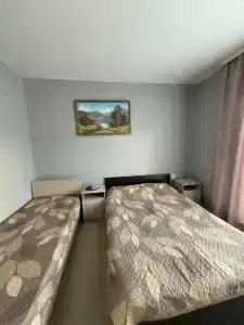 Алешкина мечта - 61