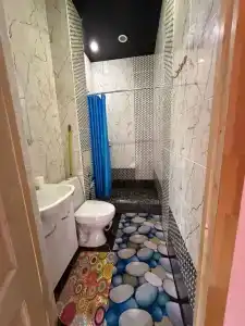 Алешкина мечта - 63