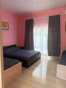 Алешкина мечта - 62