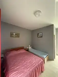 Алешкина мечта - 76