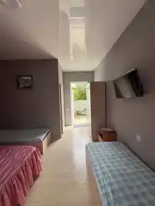 Алешкина мечта - 77