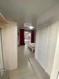 Алешкина мечта - 82