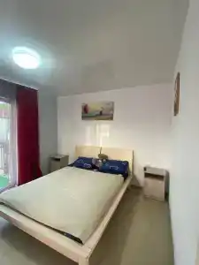 Алешкина мечта - 84