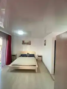 Алешкина мечта - 85