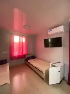 Алешкина мечта - 87