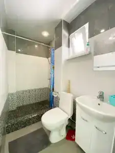 Алешкина мечта - 91