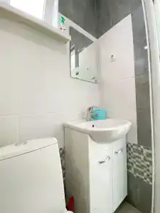 Алешкина мечта - 92