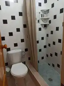 Араик - 13