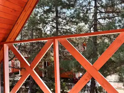 Морская дача Арабеска - 66