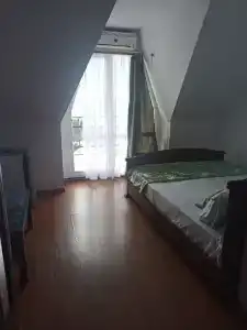 Араик - 15