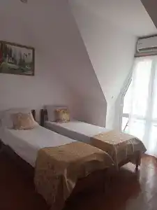 Араик - 24