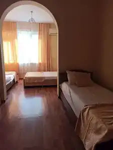 Араик - 47