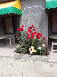 Прибой - 18