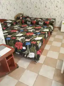 Прибой - 24