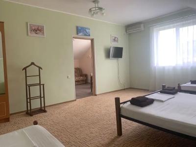 Меганом - 132