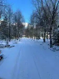 Остров - 21