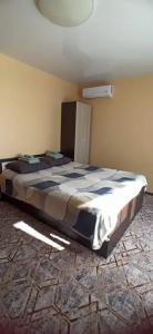 Олива - 16