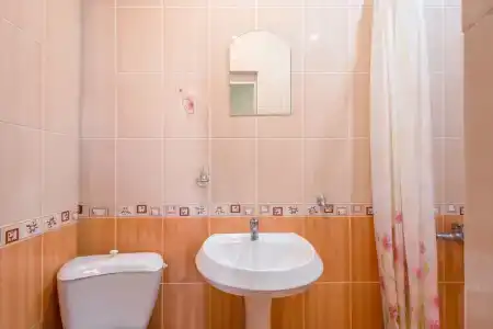 Самшит - 15