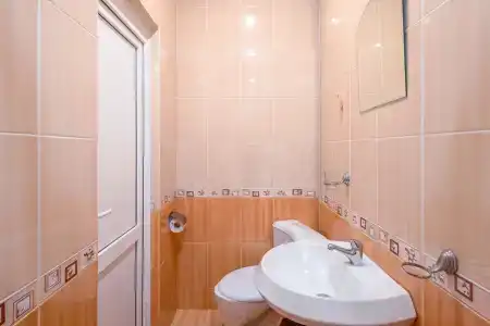 Самшит - 16
