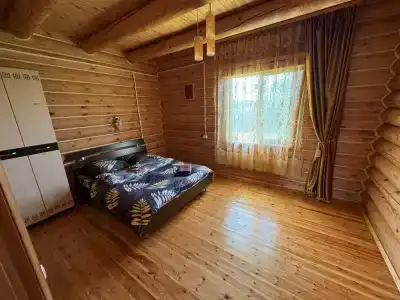 Гусли. Кедры - 33