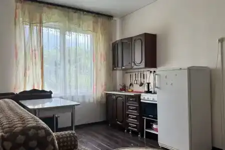 Калина - 12