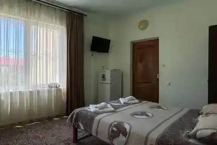 Калина - 49