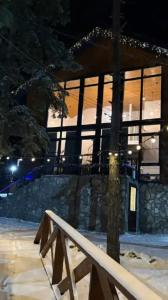Villa Arkhyz-Gold - 58