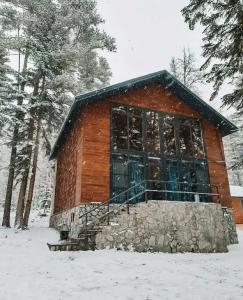 Villa Arkhyz-Gold - 98