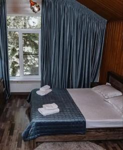 Villa Arkhyz-Gold - 92