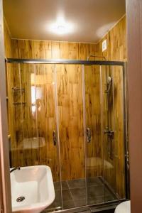Villa Arkhyz-Gold - 93