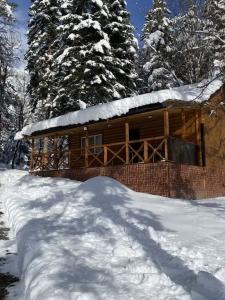 Villa Arkhyz-Gold - 113