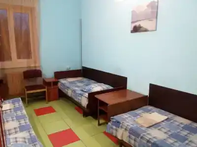 Чижовка - 17
