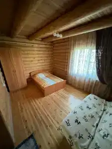 Гусли. Кедры - 51