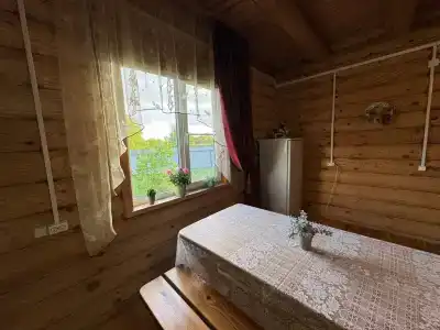 Гусли. Кедры - 50