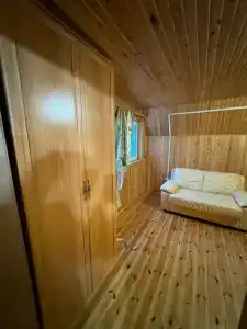 Гусли. Кедры - 70