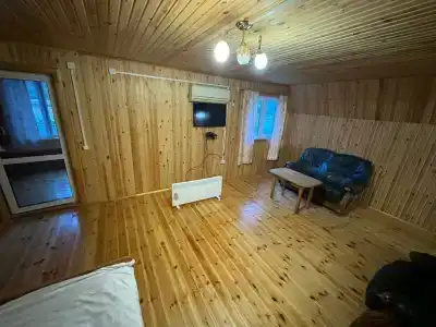 Гусли. Кедры - 80