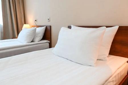 Бизнес отель Лапландия - 106